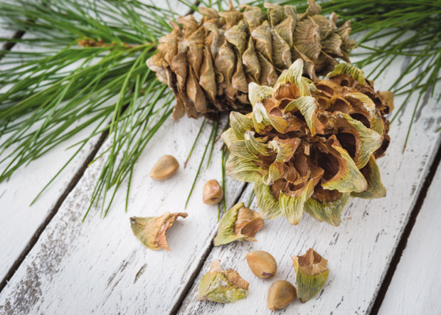 Како „појести“ јелку?